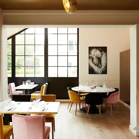 Armalot By Julia De Panne