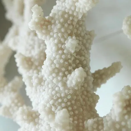 Armalot By Julia De Panne