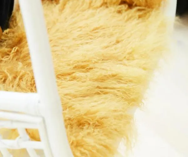 Alojamento de Acomodação e Pequeno-almoço Armalot By Julia