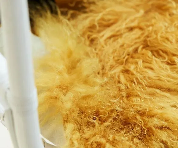 Bed & Breakfast Armalot By Julia De Panne